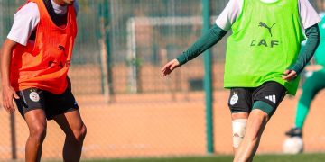 ”الخضر” يضعون أسس مستقبل واعد