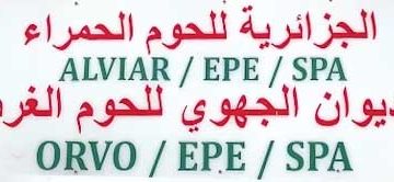 وهـران.. الديوان الجهوي للحـوم  يعــزّز تمويـن السوق الوطنيـة
