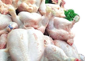 سوق اللحوم البيضاء.. تموين لا يتوقّف