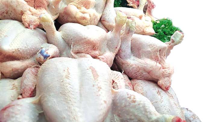 سوق اللحوم البيضاء.. تموين لا يتوقّف
