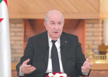 التعديـل الدستـوري التقنـي هدفه بناء ديمقراطية حقّـة