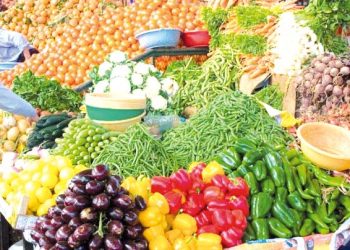 الجزائريون يجنون ثمار الإصلاحات الزراعية