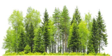 رافعـة حقيقيـة لانطلاقة فلاحة اقتصادية حديثــة