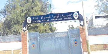 تبسة.. ديناميكية متنامية للنشاط الجمركي