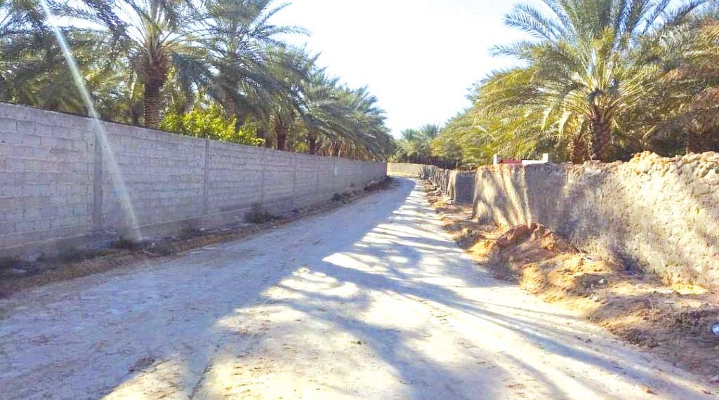 بسكـرة.. أربـع عمليــات لإنجـاز مسالك فلاحيــة