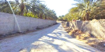 بسكـرة.. أربـع عمليــات لإنجـاز مسالك فلاحيــة