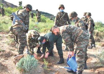 مفتاح آخـر لتنويـع الاقتصـاد الوطني وتحقيـق الأمن الغذائــي