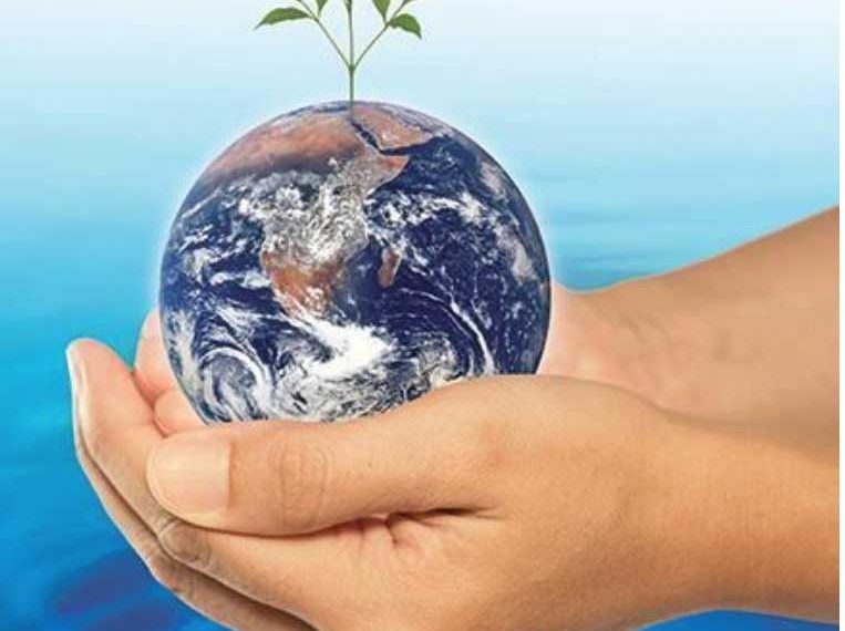 تجذيـر الثقافـة البيئية.. أولويــة قصوى