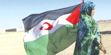 الاحتـلال يمعّن في انتهـاك القانون الدولي ونهـب ثــروات الصّحراويين