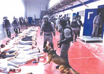 شهادتــان مـــن غــزة توثّقــان جـــرائم الاعتقــال الصهيـــوني