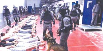 شهادتــان مـــن غــزة توثّقــان جـــرائم الاعتقــال الصهيـــوني