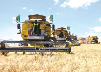 المكننة والبحث العلمي.. دعائم لتعزيز الاكتفاء الذاتي