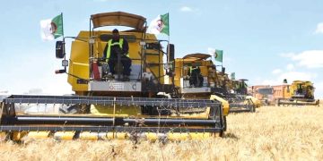 المكننة والبحث العلمي.. دعائم لتعزيز الاكتفاء الذاتي