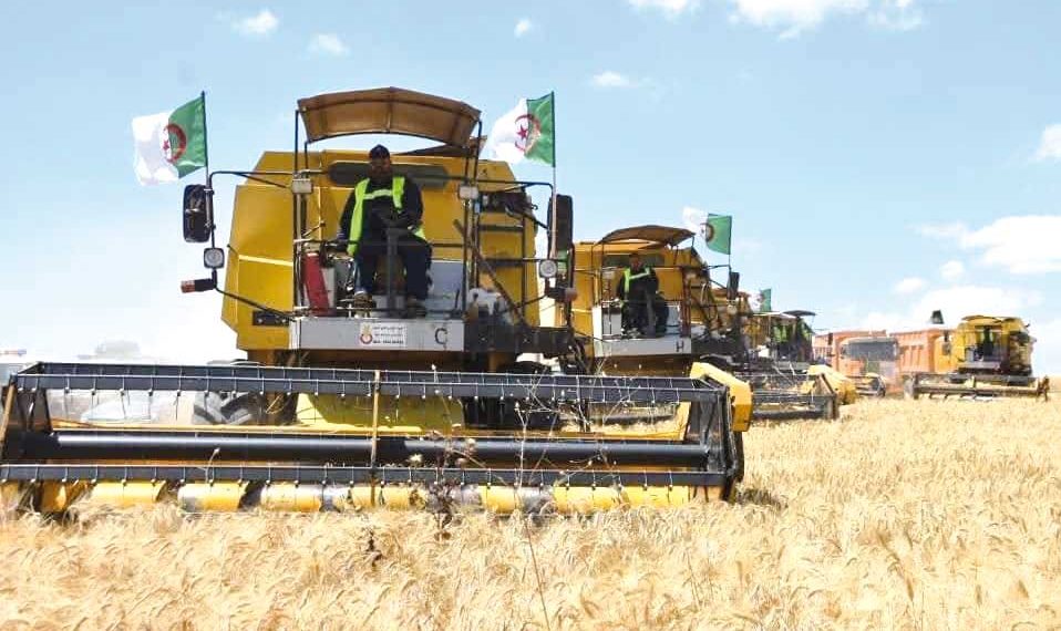 المكننة والبحث العلمي.. دعائم لتعزيز الاكتفاء الذاتي