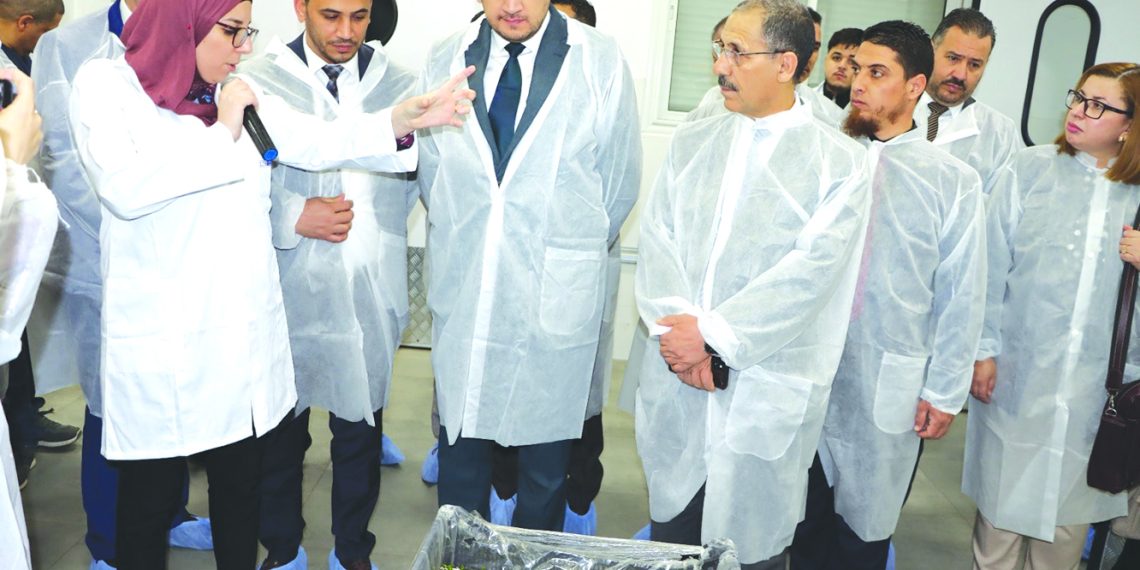 برنامج طمـوح للاستغنـاءعن استيراد البذور والشتـلات