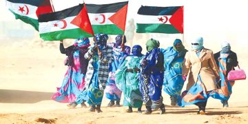 “اللّجنة الرّابعـة” تناقـش قضية الصّحراء الغربية في جوان القــادم