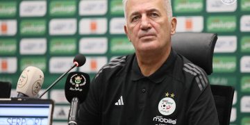 بيتكوفيتش يبحث عـن بدائـل دفاعية