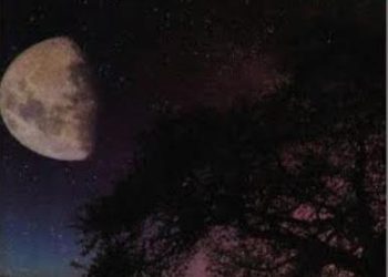 الفن الروائي مـازال  قادرا على صناعة القراءة