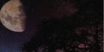 الفن الروائي مـازال  قادرا على صناعة القراءة