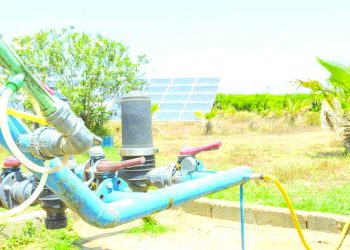 بومرداس.. ربط 109 مستثمرة بالشبكة الكهربائية