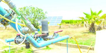 بومرداس.. ربط 109 مستثمرة بالشبكة الكهربائية