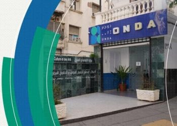 ”أوندا” يعض استراتيجيــة حماية الفنّان الجزائري