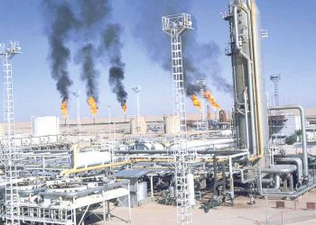 الجزائر – نيامي.. مشاريع استثمارية كبرى لتعزيز الأمن الطاقوي الإقليمـي