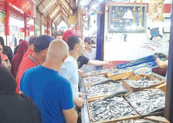 كميـات هائلـة مـن السردين تنعــش ســوق السّمــك بسكيكـــدة