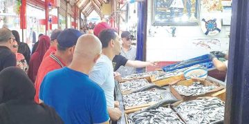 كميـات هائلـة مـن السردين تنعــش ســوق السّمــك بسكيكـــدة