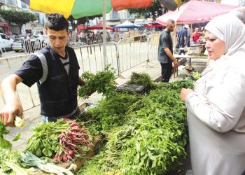 الأسبوع الثاني..الأسواق تستعيد هدوءهـــا والأسعار تتراجـع