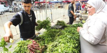 الأسبوع الثاني..الأسواق تستعيد هدوءهـــا والأسعار تتراجـع