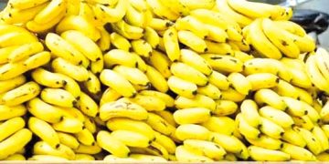 وفـرة تتعـزّز بسـوق الجملة  صالـح بوالشعور بسكيكـدة