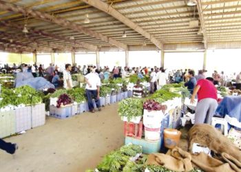 سـوق الجملــة بالكرمــة.. قلــب وهــران النّابـض