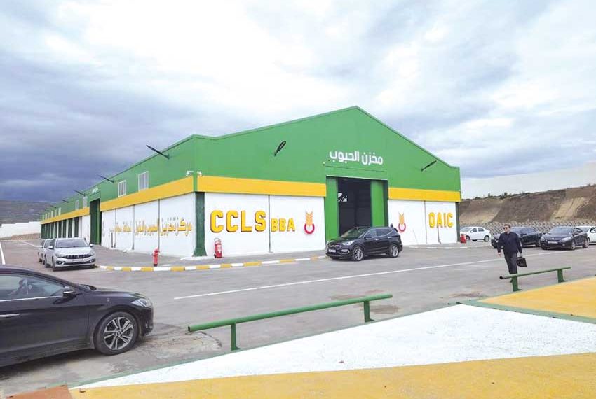 بـرج بوعريريـج..دخول 6 مخـازن للحبـوب حيّــز الخدمة