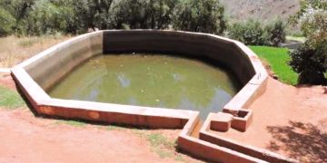 النعامة..تهيئــة 5 ملايــين هكتــار من المراعي المتدهورة