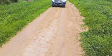 سعيدة..برنامج لتهيئة وصيانة الطّرق الفلاحية