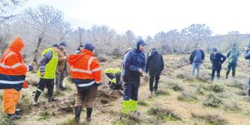 سيــدي بلعباس..حملة لغـرس آلاف الأشجـار