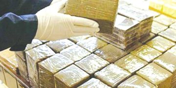 «مملكة الحشيش»..زراعة وتجارة «الزطلة» جريمة محمية !