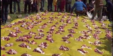 ”ثيمشــرط”.. مـوروث إنساني أعـلى من النسـيان