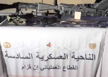 أسود الجيش يحيّدون مجموعة إجرامية أجنبية