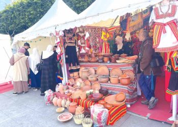 الصّناعـة التّقليدية الوطنية..ثراء وتنـوّع