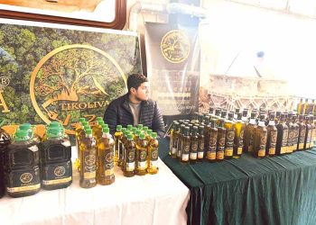 تونس ضيف شرف احتفالية عيد شجرة الزيتون بتيزي وزو