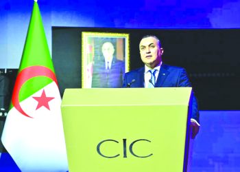 صناعة رقمية وفقا للأولويات القارية وبعيدا عن الإملاءات الأجنبية