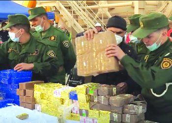 أسود الجيش يحبطون مؤامرات “مملكة الحشيش”