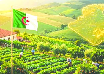 الجزائر النواة الصلبة للأمن الغذائي الإفريقي..لهذه الأسباب