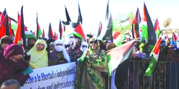 هيئـات صحراوية تناشد المنظمات الدولية بالتدخّل العـاجل