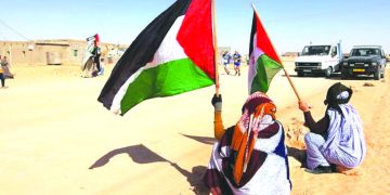 شبكات منظمة تستنزف الموارد الطبيــعية للصّحـراء الغربيــة