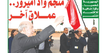 العدد 20032