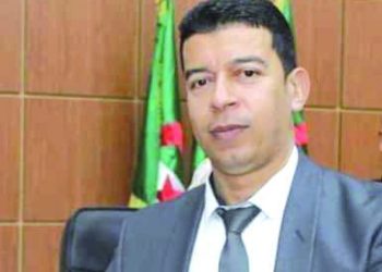 قوة الإنتاج الزراعي تقود الجزائر للريادة الاقتصادية