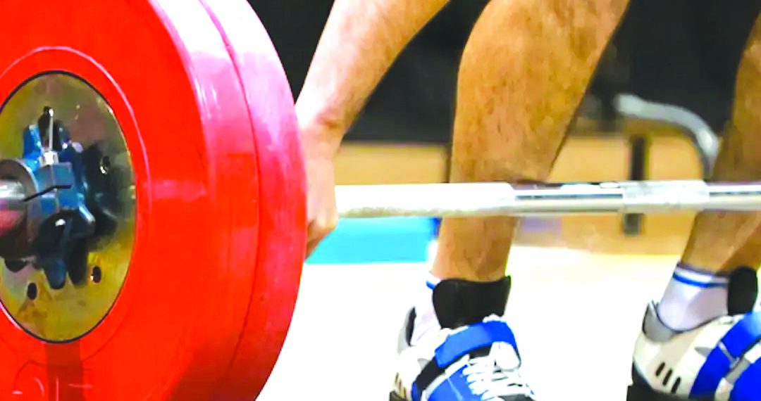 مشاركة أزيد من 270 ربّاعا بالشلف